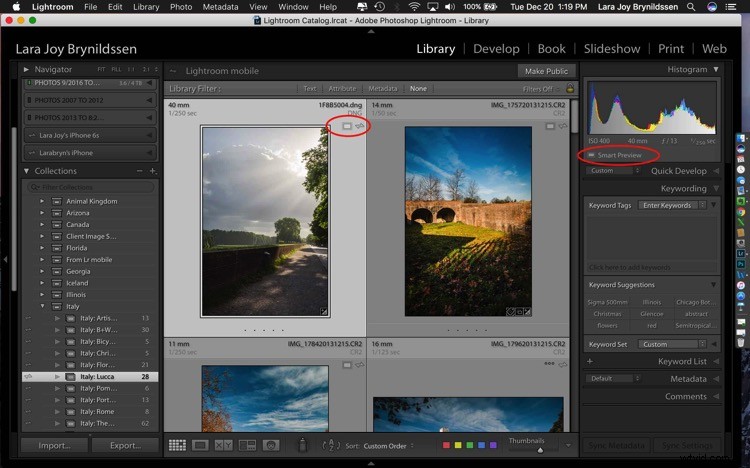 4 Key Advantages of Lightroom Collections: Streamline Your Photo Workflow