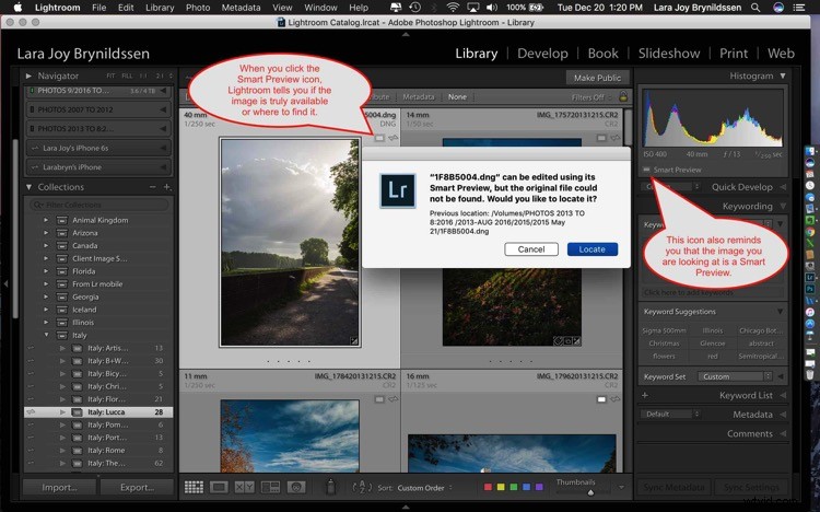 4 Key Advantages of Lightroom Collections: Streamline Your Photo Workflow