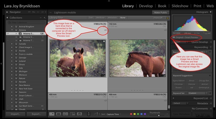 4 Key Advantages of Lightroom Collections: Streamline Your Photo Workflow