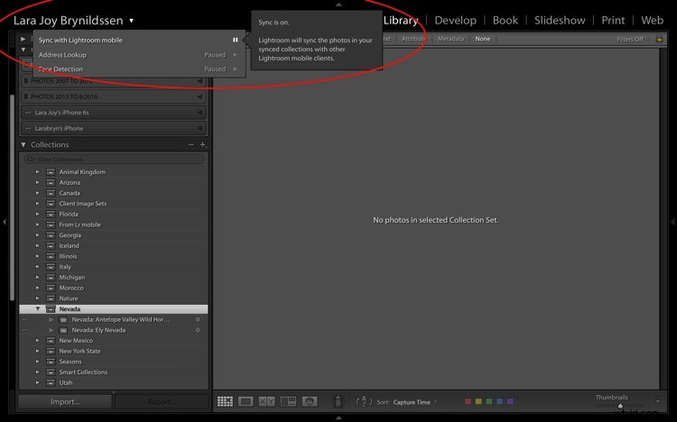 4 Key Advantages of Lightroom Collections: Streamline Your Photo Workflow