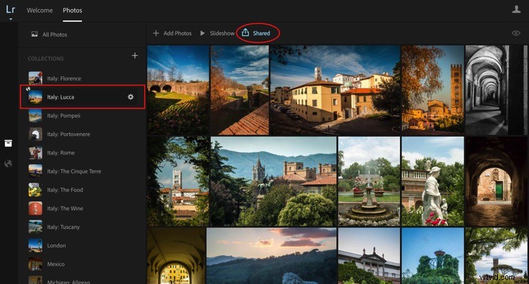 4 Key Advantages of Lightroom Collections: Streamline Your Photo Workflow
