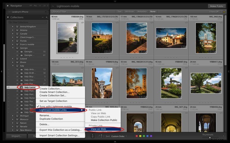 4 Key Advantages of Lightroom Collections: Streamline Your Photo Workflow
