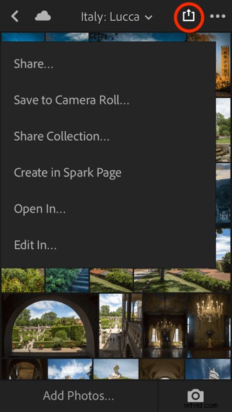 4 Key Advantages of Lightroom Collections: Streamline Your Photo Workflow