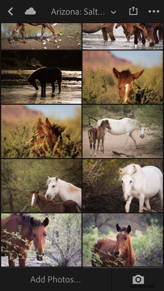 4 Key Advantages of Lightroom Collections: Streamline Your Photo Workflow