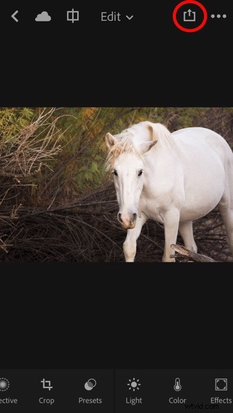 4 Key Advantages of Lightroom Collections: Streamline Your Photo Workflow