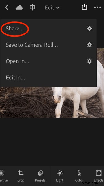 4 Key Advantages of Lightroom Collections: Streamline Your Photo Workflow