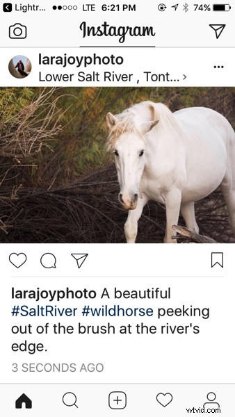 4 Key Advantages of Lightroom Collections: Streamline Your Photo Workflow