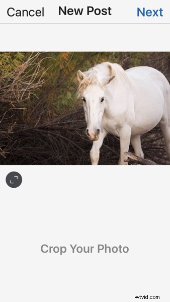 4 Key Advantages of Lightroom Collections: Streamline Your Photo Workflow