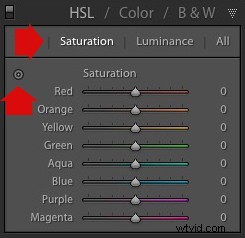 3 Expert Techniques for Stunning Selective Color Portraits in Lightroom & Silver Efex Pro 2