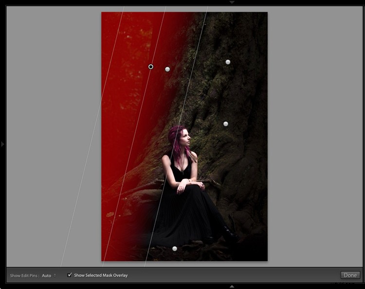 Master Dark, Moody Rembrandt-Style Portraits in Lightroom: Step-by-Step Guide