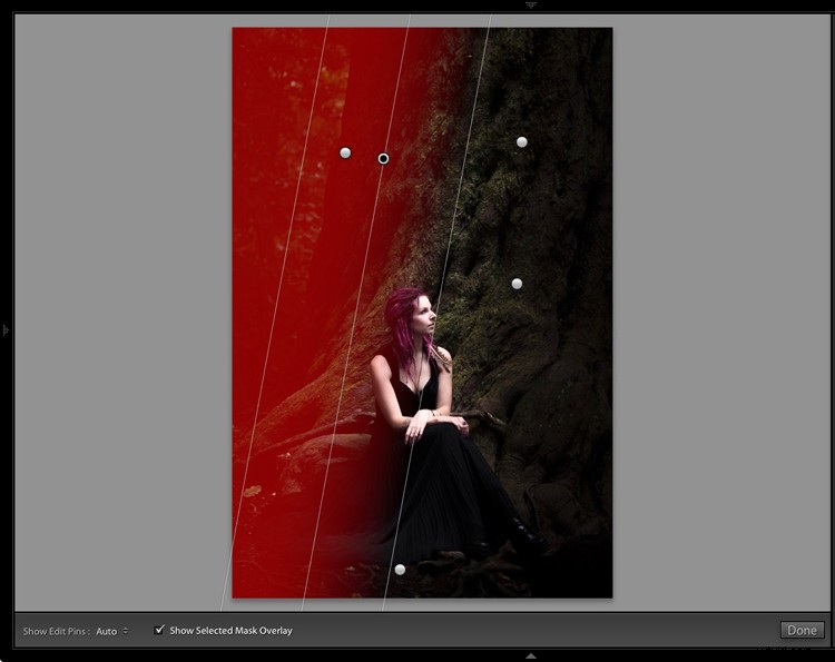 Master Dark, Moody Rembrandt-Style Portraits in Lightroom: Step-by-Step Guide