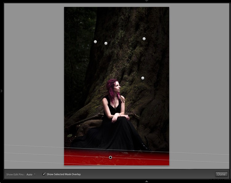 Master Dark, Moody Rembrandt-Style Portraits in Lightroom: Step-by-Step Guide