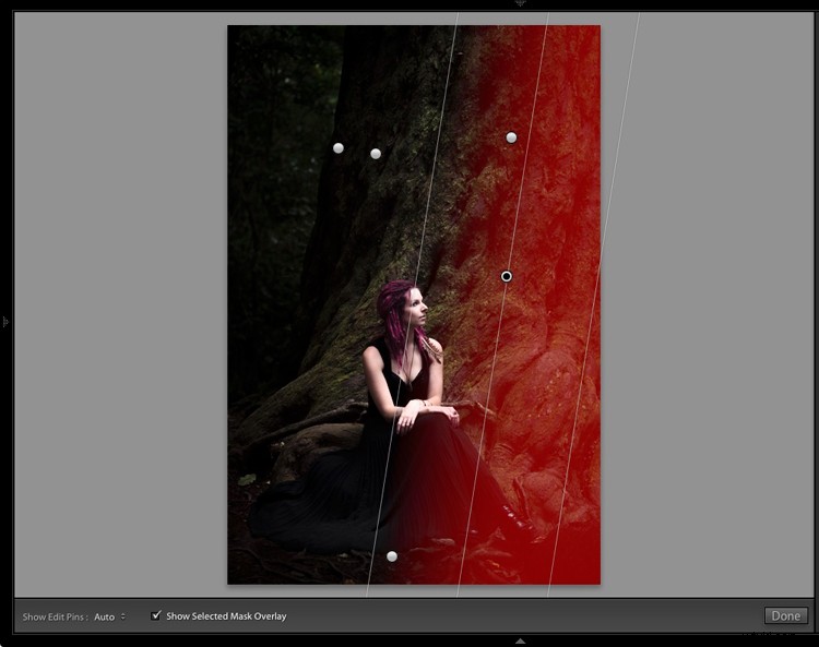 Master Dark, Moody Rembrandt-Style Portraits in Lightroom: Step-by-Step Guide