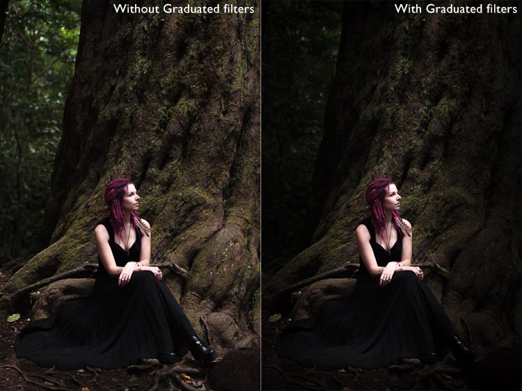 Master Dark, Moody Rembrandt-Style Portraits in Lightroom: Step-by-Step Guide