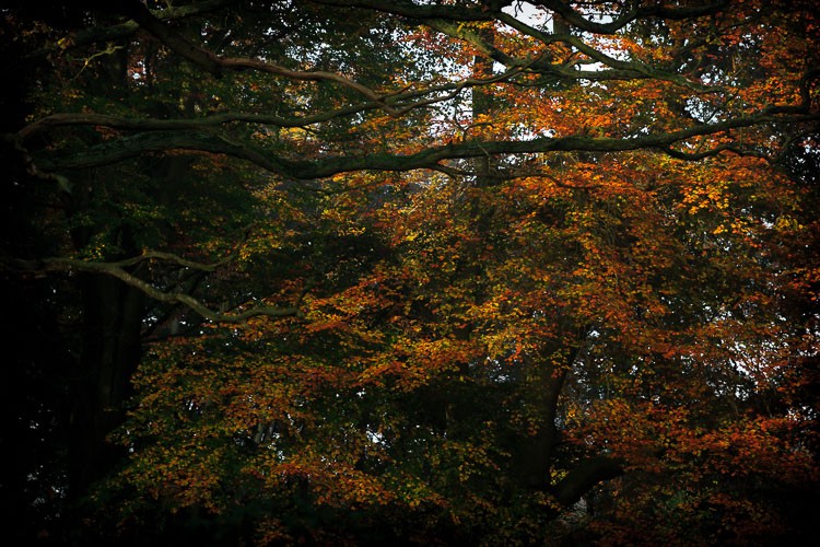 Master Artistic Lightroom Editing: Creative Thinking Tips for Stunning Photos