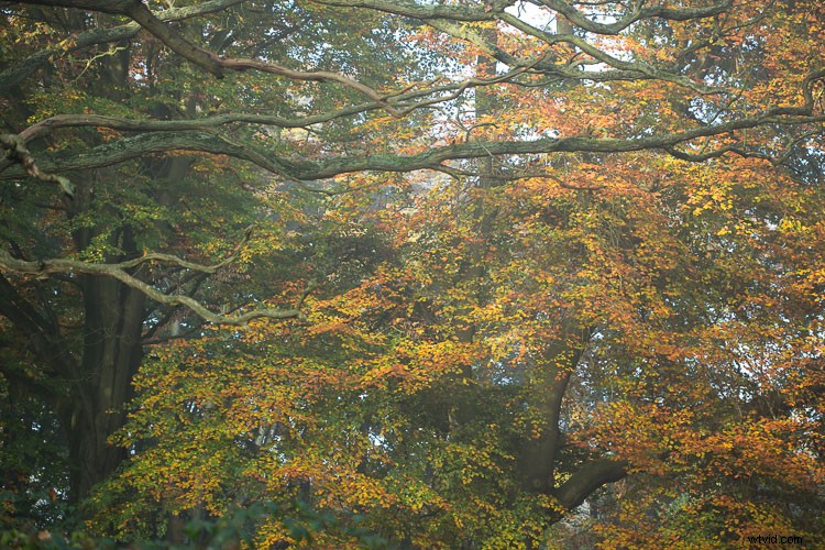 Master Artistic Lightroom Editing: Creative Thinking Tips for Stunning Photos