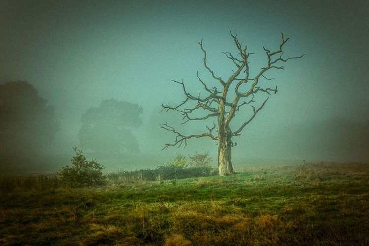 Master Artistic Lightroom Editing: Creative Thinking Tips for Stunning Photos