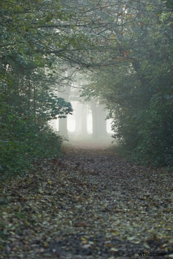 Master Artistic Lightroom Editing: Creative Thinking Tips for Stunning Photos