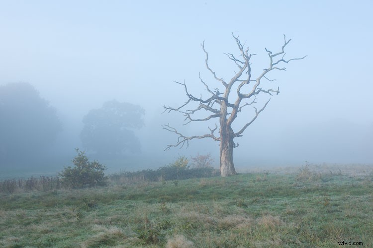 Master Artistic Lightroom Editing: Creative Thinking Tips for Stunning Photos