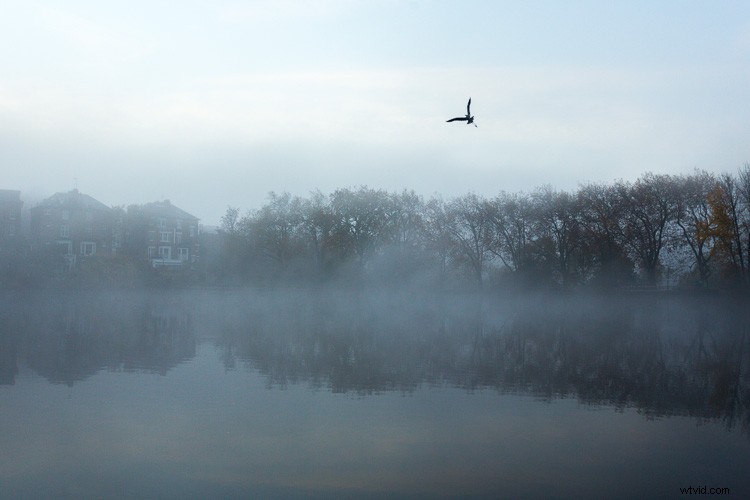 Master Artistic Lightroom Editing: Creative Thinking Tips for Stunning Photos