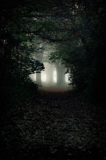 Master Artistic Lightroom Editing: Creative Thinking Tips for Stunning Photos