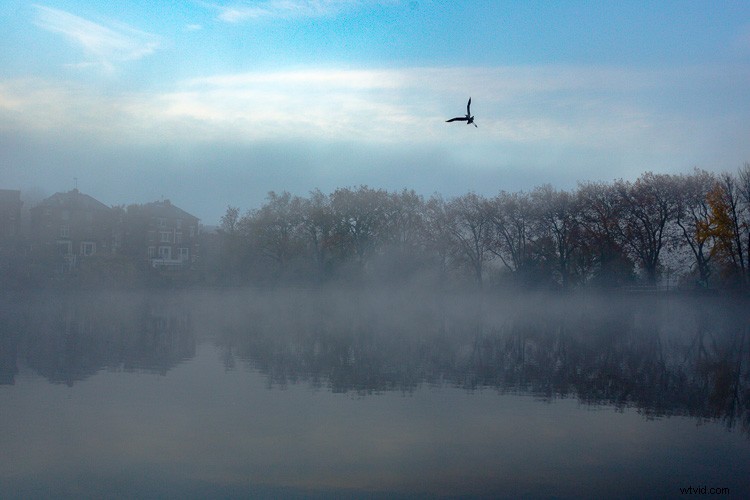 Master Artistic Lightroom Editing: Creative Thinking Tips for Stunning Photos