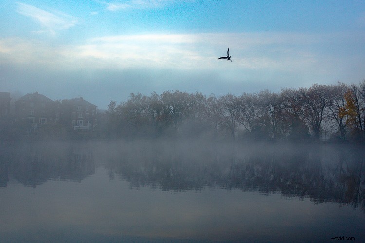 Master Artistic Lightroom Editing: Creative Thinking Tips for Stunning Photos