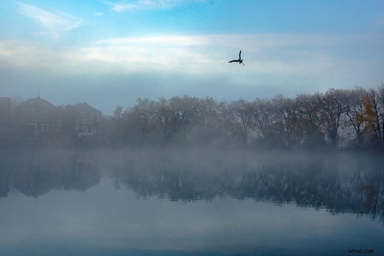 Master Artistic Lightroom Editing: Creative Thinking Tips for Stunning Photos