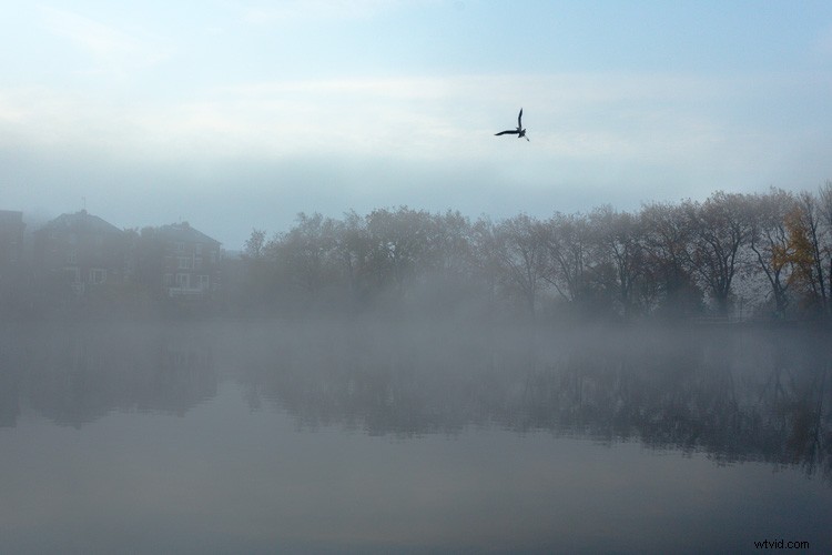 Master Artistic Lightroom Editing: Creative Thinking Tips for Stunning Photos