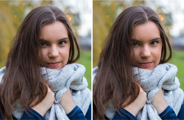 Step-by-Step Guide: Create and Import Custom Adjustment Brush Presets in Lightroom