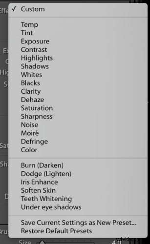 Step-by-Step Guide: Create and Import Custom Adjustment Brush Presets in Lightroom
