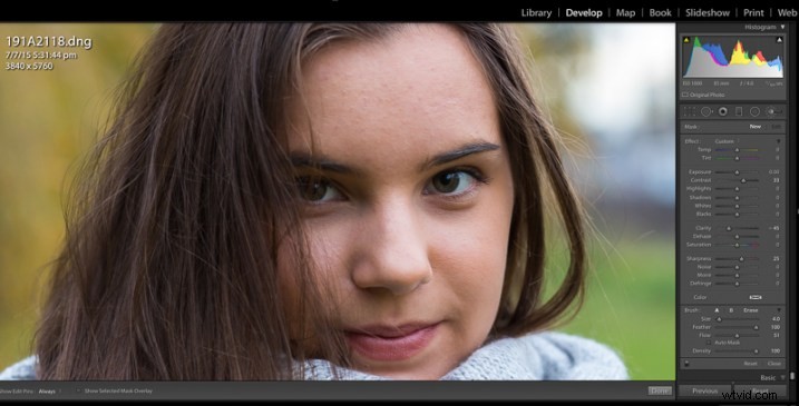 Step-by-Step Guide: Create and Import Custom Adjustment Brush Presets in Lightroom