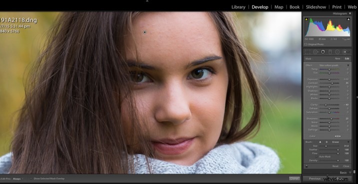 Step-by-Step Guide: Create and Import Custom Adjustment Brush Presets in Lightroom