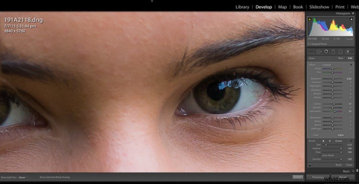 Step-by-Step Guide: Create and Import Custom Adjustment Brush Presets in Lightroom