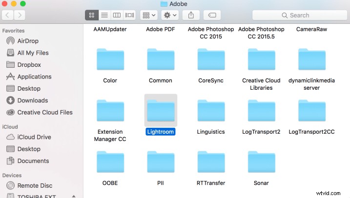 Step-by-Step Guide: Create and Import Custom Adjustment Brush Presets in Lightroom