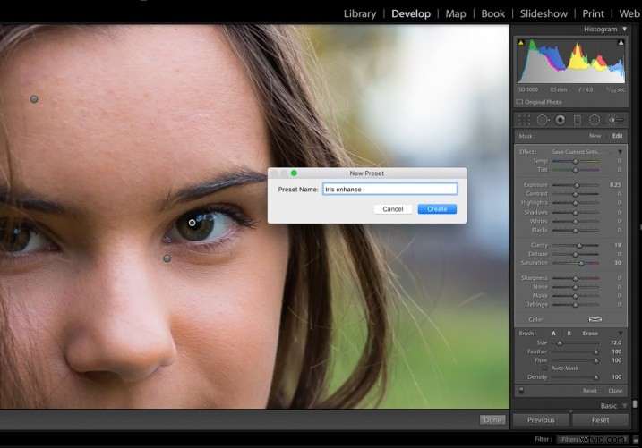 Step-by-Step Guide: Create and Import Custom Adjustment Brush Presets in Lightroom