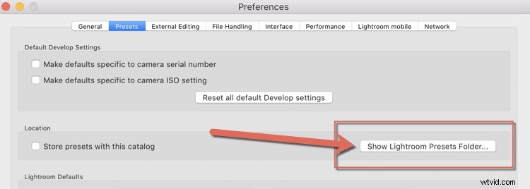 Step-by-Step Guide: Create and Import Custom Adjustment Brush Presets in Lightroom