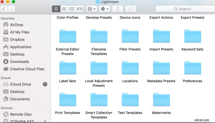 Step-by-Step Guide: Create and Import Custom Adjustment Brush Presets in Lightroom