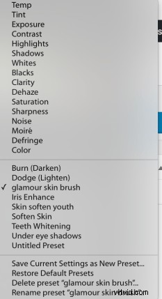 Step-by-Step Guide: Create and Import Custom Adjustment Brush Presets in Lightroom