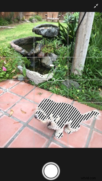 Lightroom Mobile: Master Professional Shooting and Editing on Your Smartphone