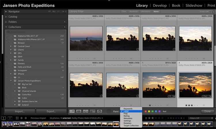 Master Your Lightroom Workflow: Why Keywords and Star Ratings Are Essential