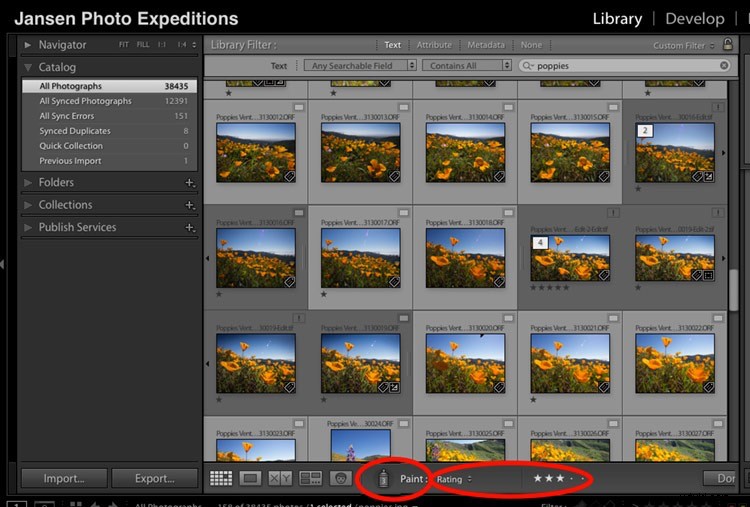 Master Your Lightroom Workflow: Why Keywords and Star Ratings Are Essential