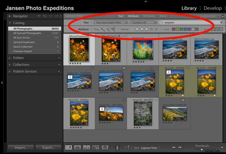 Master Your Lightroom Workflow: Why Keywords and Star Ratings Are Essential