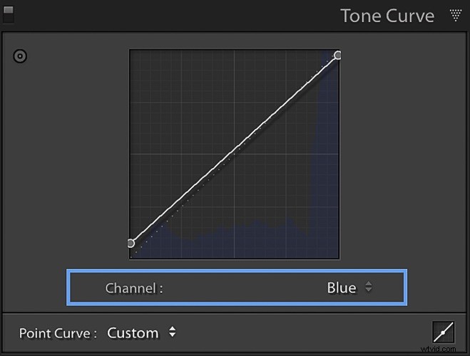 Master Photo Styling: Use Complementary Colors in Lightroom for Stunning Results