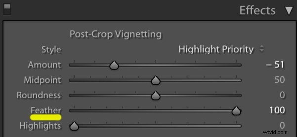 3 Expert Tips for Perfect Vignettes in Lightroom: Elevate Your Photos