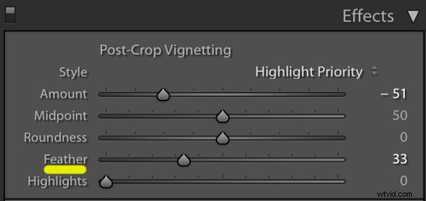 3 Expert Tips for Perfect Vignettes in Lightroom: Elevate Your Photos