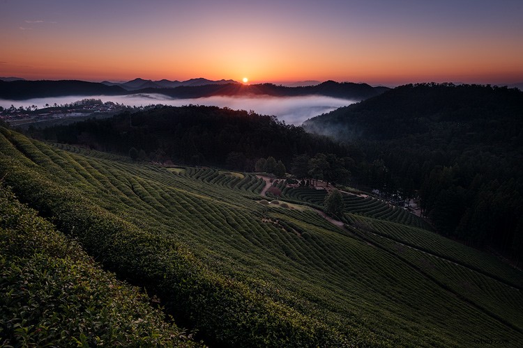 Top 5 Reasons Lightroom Photographers Should Use  Edit in Photoshop 