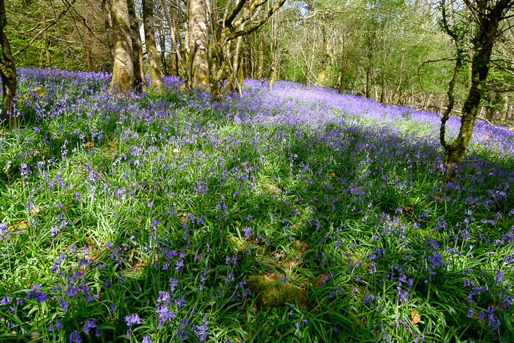 Top 5 Essential Lightroom Sliders for Pro-Level Photo Editing