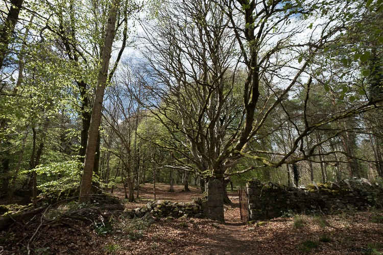 Top 5 Essential Lightroom Sliders for Pro-Level Photo Editing