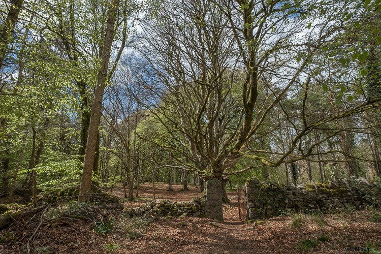 Top 5 Essential Lightroom Sliders for Pro-Level Photo Editing